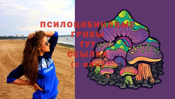 a pvp Абинск