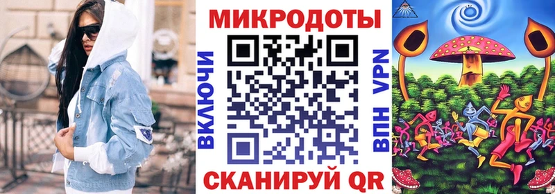 Псилоцибиновые грибы Psilocybe  Староминская 